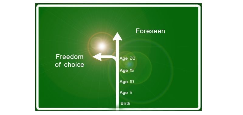 freedom of choice, a green road sign with forwarding arrow to the word "foreseen" and arrow to the left to the sentence "freedom of choice "