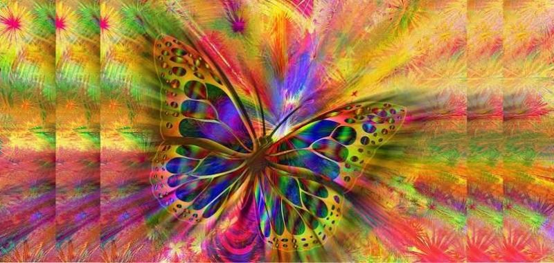 guided meditation, colorful butterfly on colors background